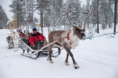 Everything you need to know about visiting Lapland this Christmas