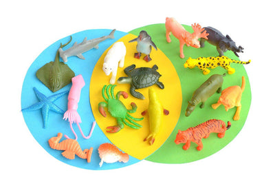 Discover animal habitats with this fun game