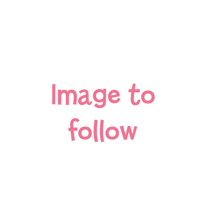 Bluey: The Beach (Paperback) Penguin Random House 