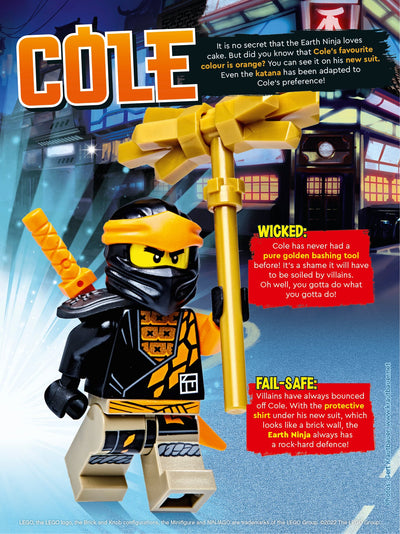 Cole 892290 LEGO® NINJAGO® 