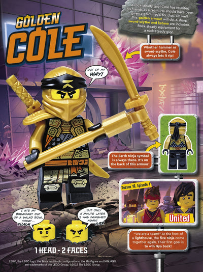 Golden Cole 892295 LEGO® NINJAGO® 